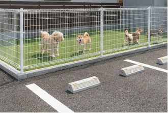 植栽をドッグランへ