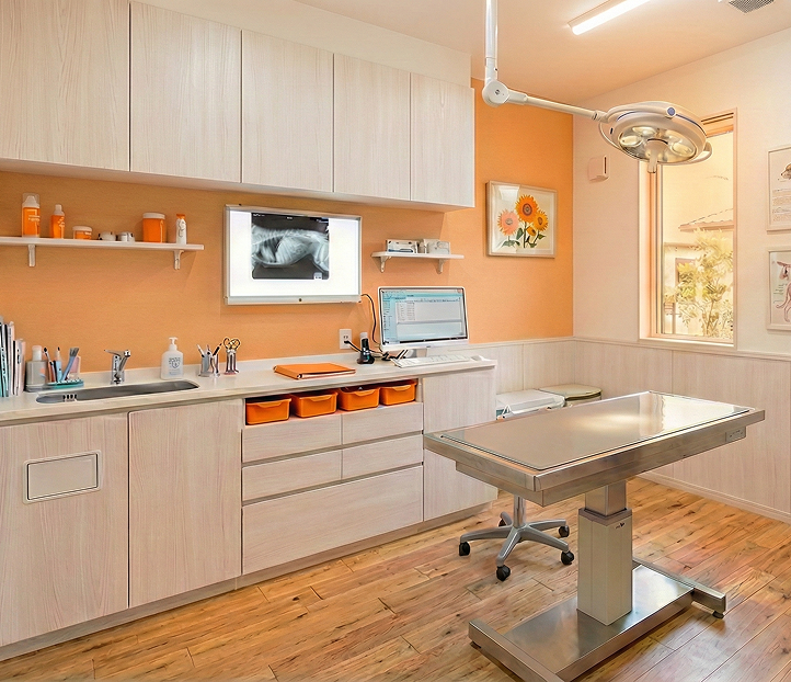 明るく清潔な動物病院