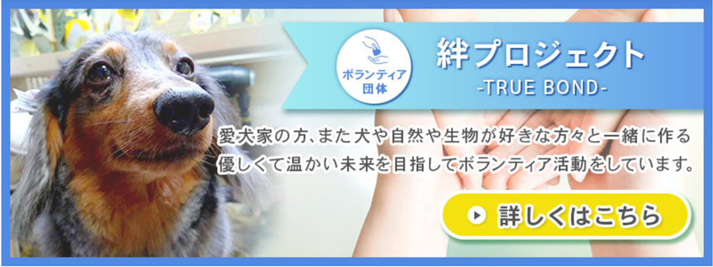絆プロジェクト 保護犬活動